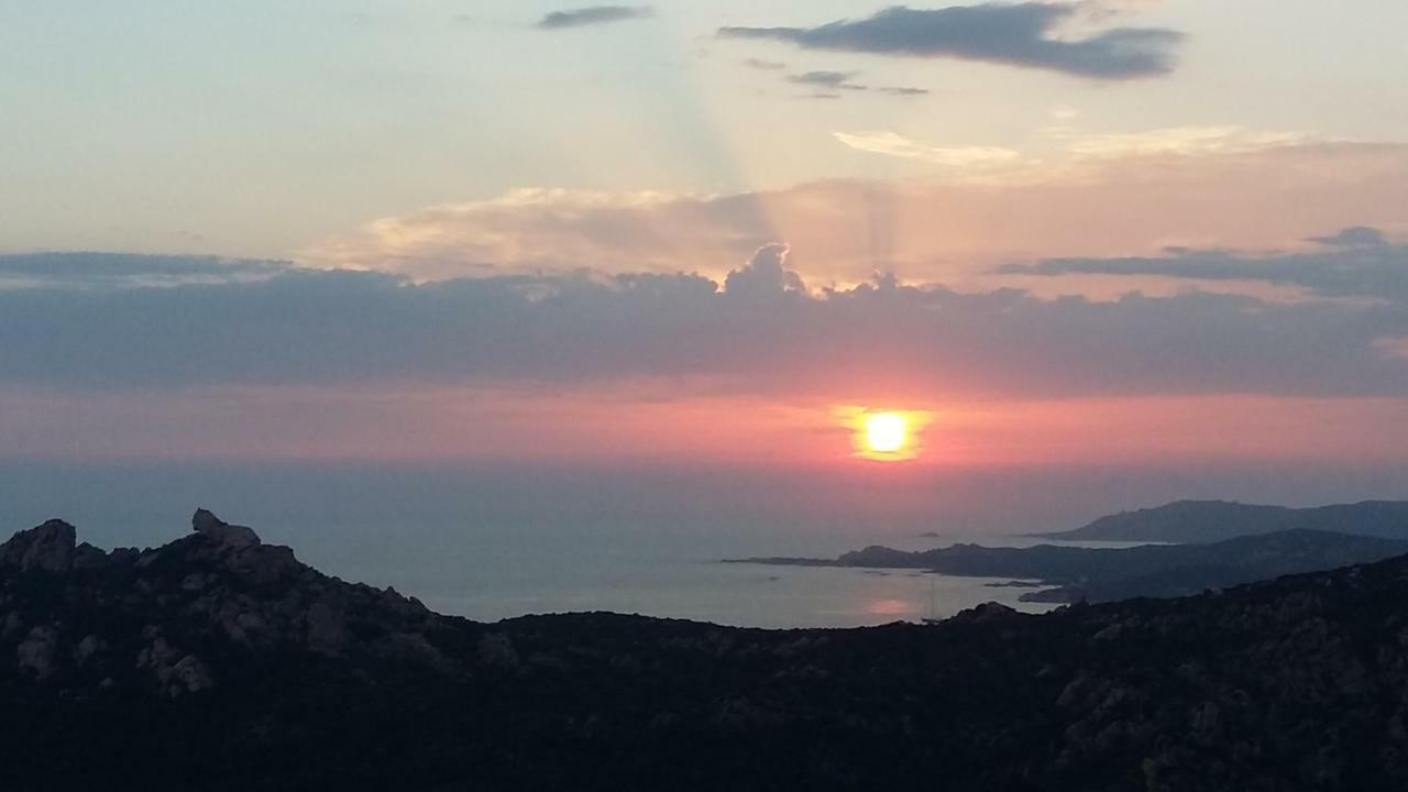 Corsica Monti Gite Appart Petreto-Bicchisano Eksteriør billede